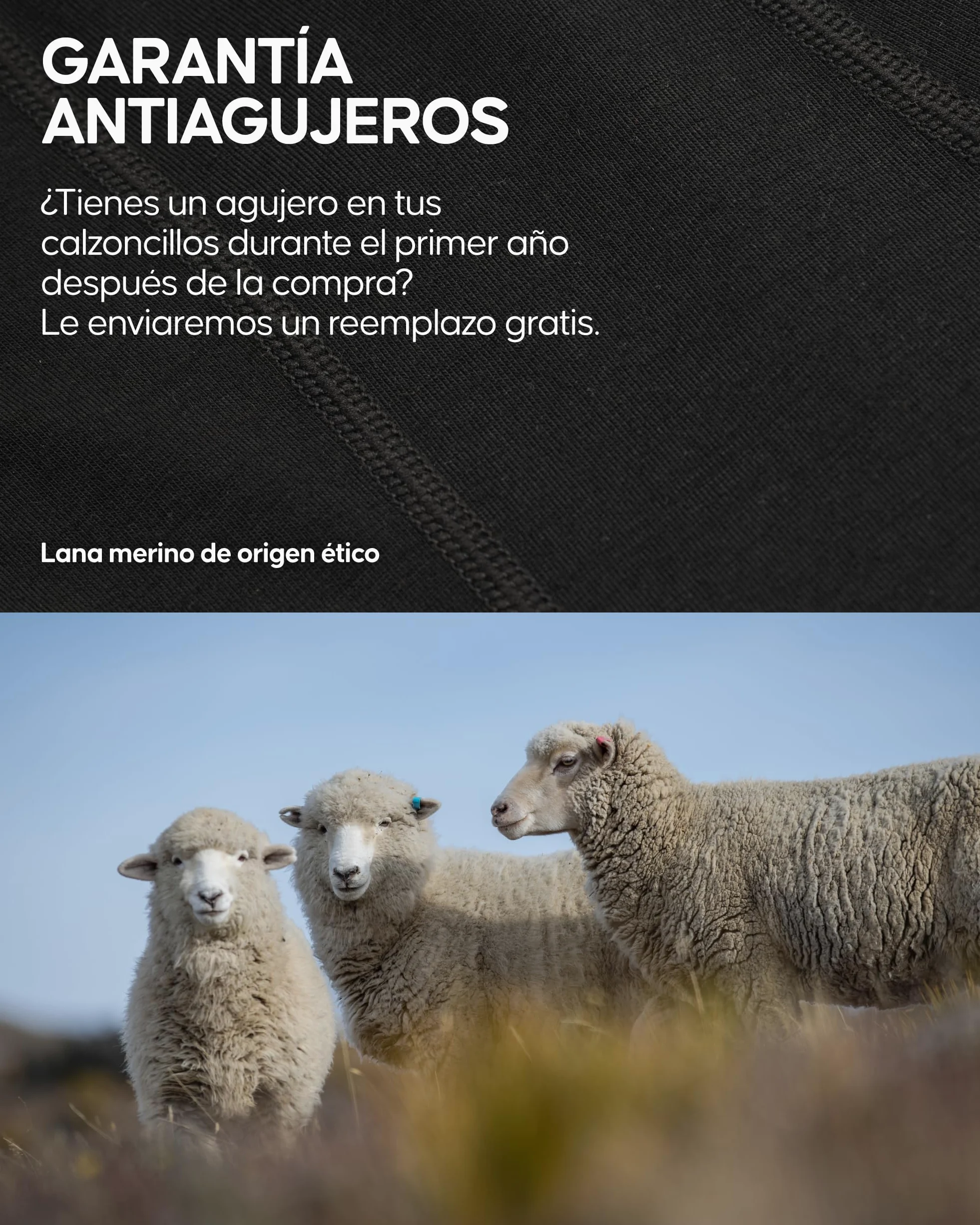 DANISH ENDURANCE Boxer de Lana Merino Hombre, Transpirables, 1 y 2 Pack