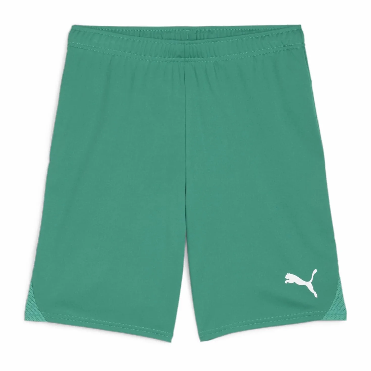 Puma Teamgoal Shorts Jr - Pantalones Cortos de Punto Unisex niños