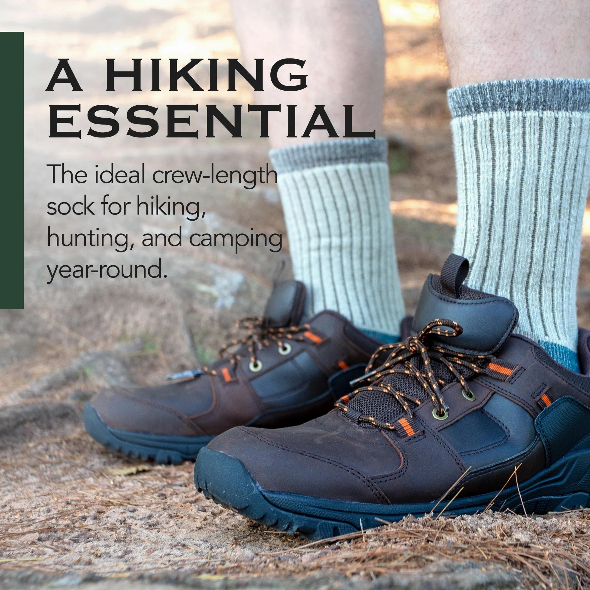 Woolrich Calcetines de lana merino, paquete de 2 – Calcetines de senderismo resistentes para hombre (10 millas de senderismo)