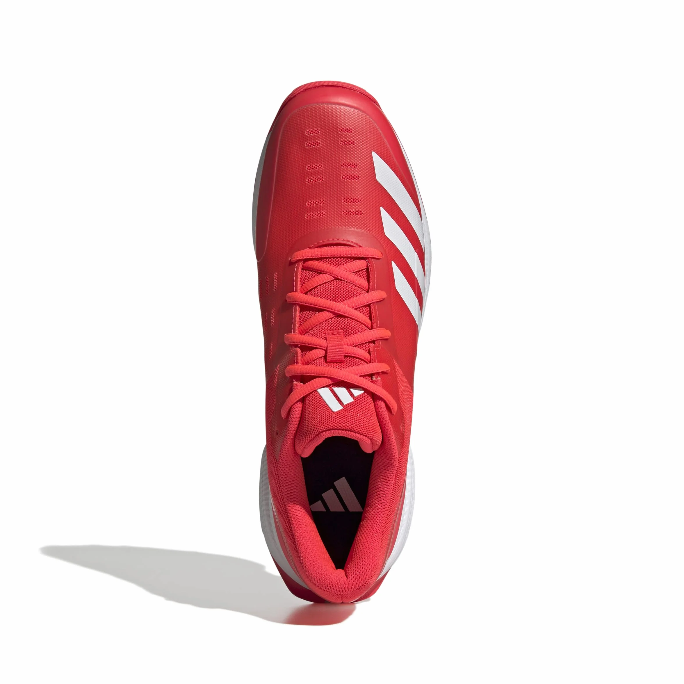 adidas Sl22 Cricket Zapatos de críquet Hombre