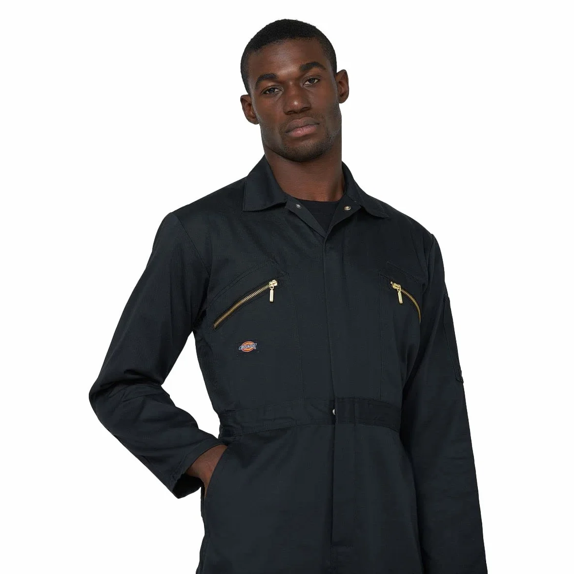 Dickies Parka Hombre