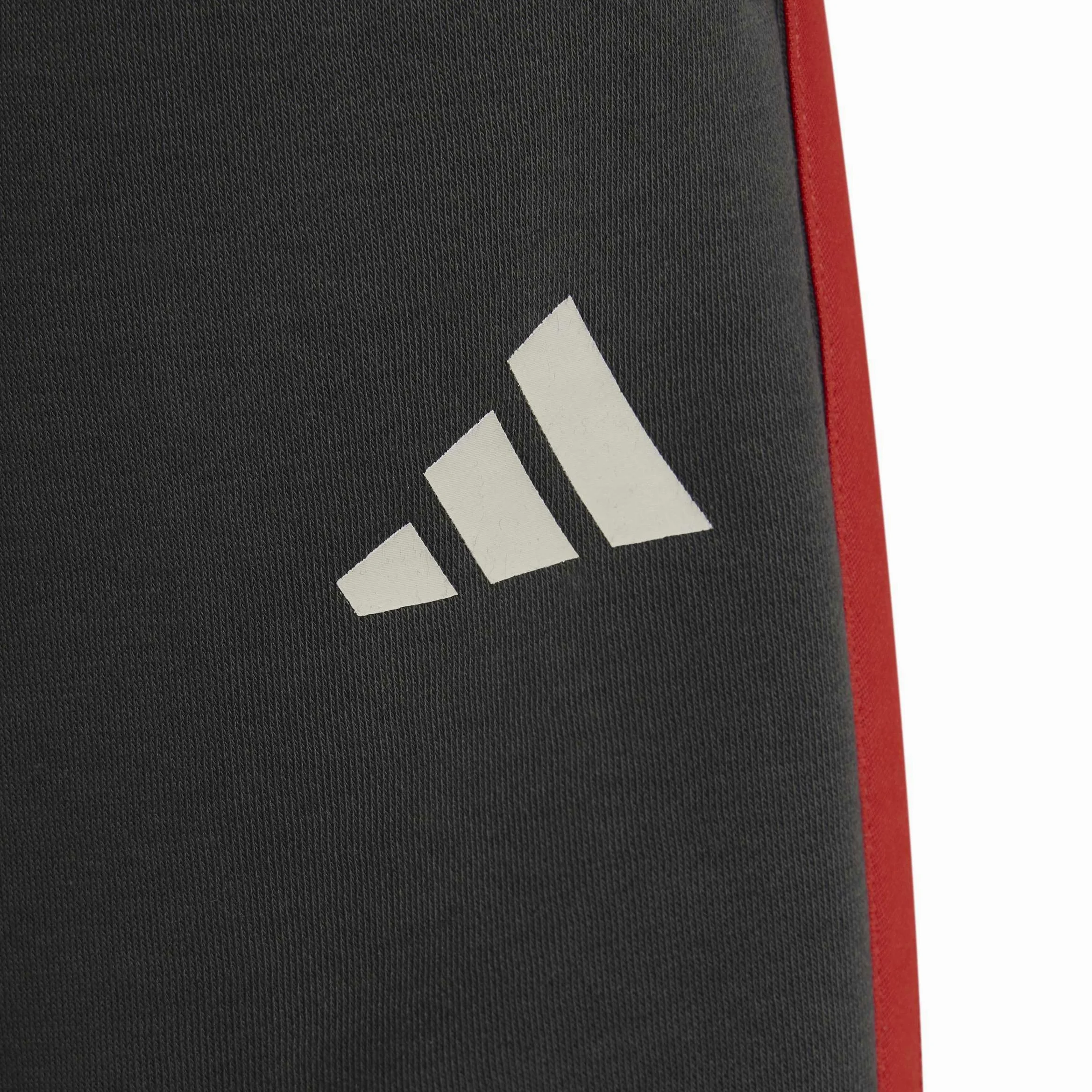 adidas Audi Revolut Formula One Team DNA S - Pantalones Cortos Unisex niños