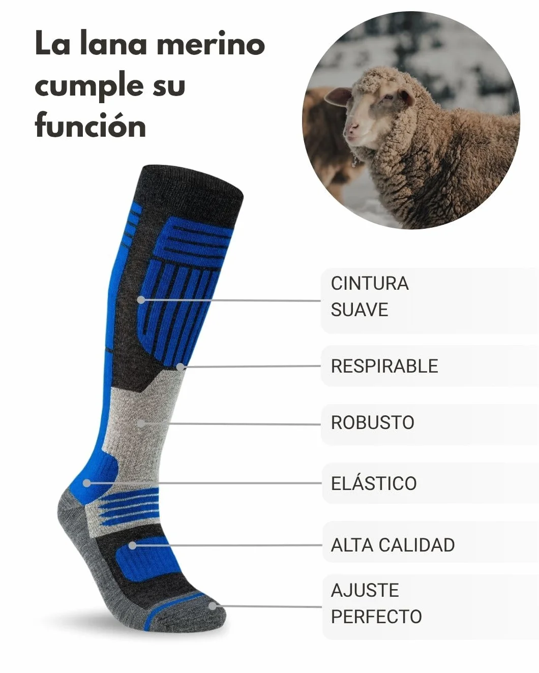 sockenkauf24 2 Pares Calcetines Esquí para Hombre Lana Merino