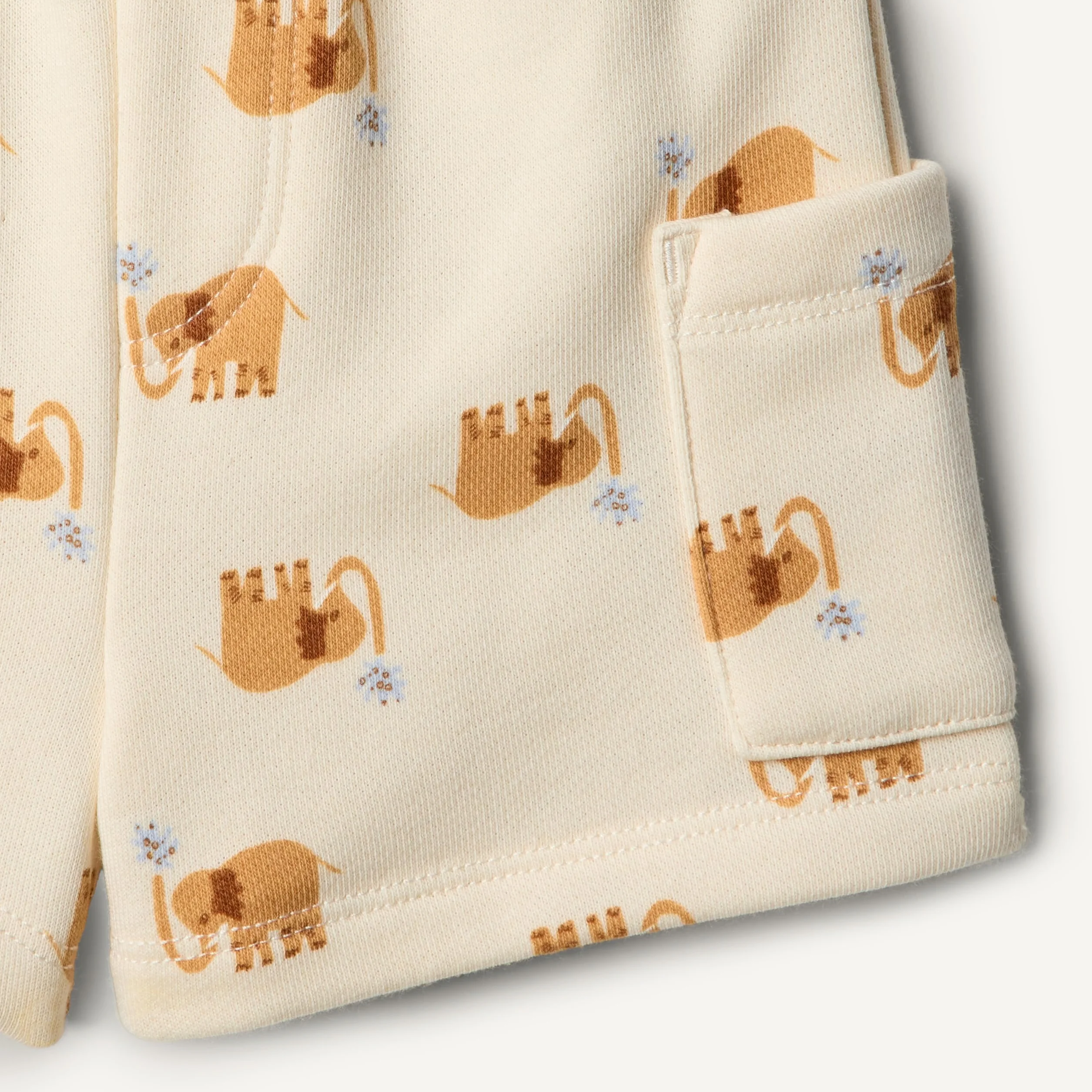 Amazon Essentials x Sofia Grainge Conjunto con Camiseta y Pantalones Cortos Niños, Paquetes Múltiples