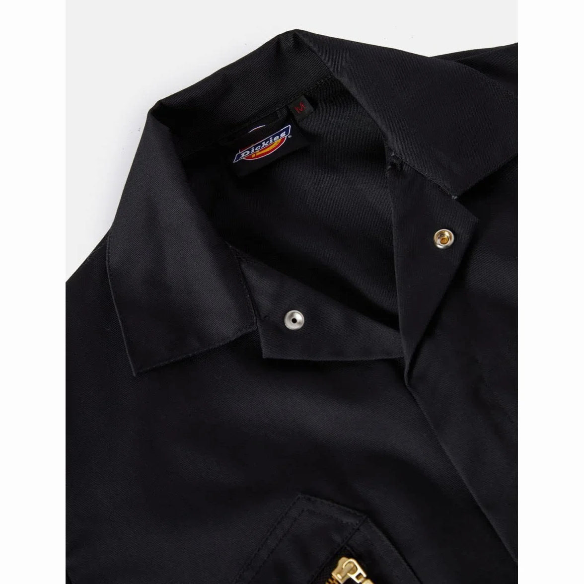 Dickies Parka Hombre