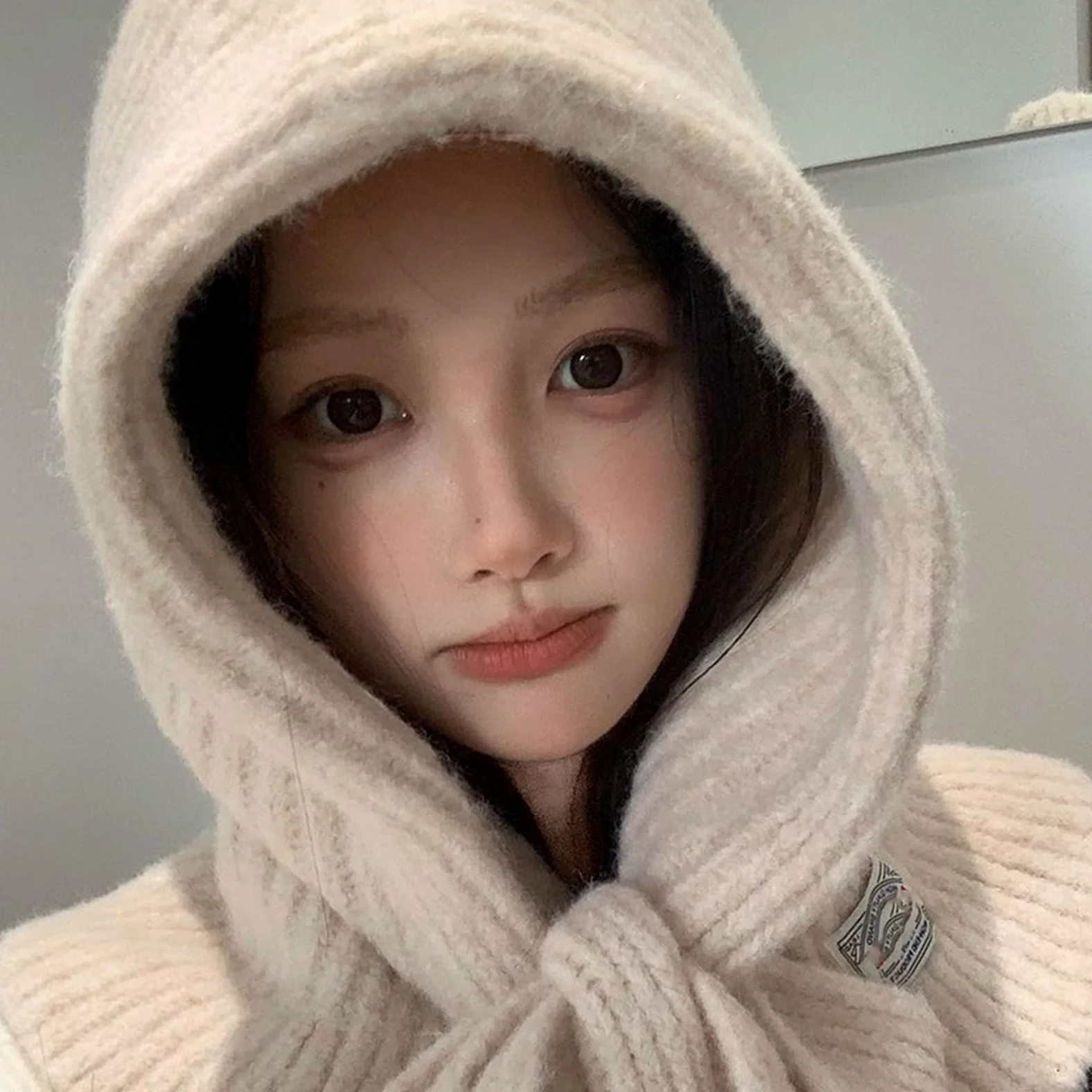 Gorro con capucha de estilo coreano popular con protección para el cuello, bufanda de mezcla de lana suave para clima frío, esencial para clima frío