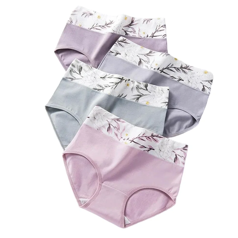 DYRBF - Bragas de algodón de cintura alta para mujer, ropa interior adelgazante, sin costuras, ropa interior sexy y transpirable para mujer, 4 piezas