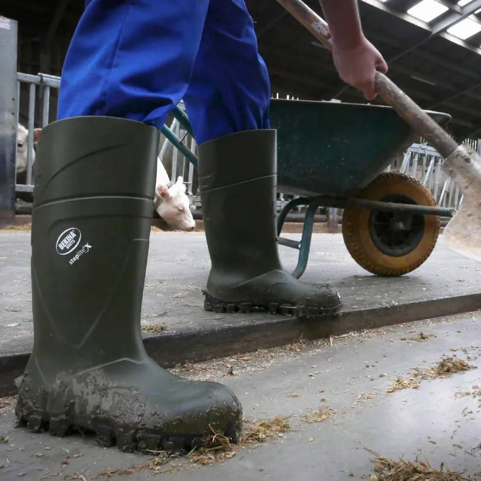 Bekina Bota de Trabajo Robusta para Mujeres y Hombres sin Puntera de Acero de Seguridad, para Uso agrícola, Garantiza una excelente adherencia, protección de Aislamiento -30 Grados, Verde, EU 43