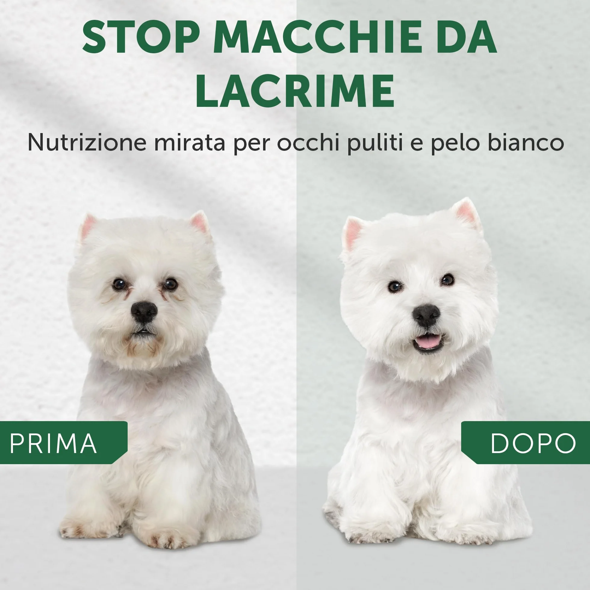 Natures PROT White Dog Adult Small Grain Free Insectos 1,5KG