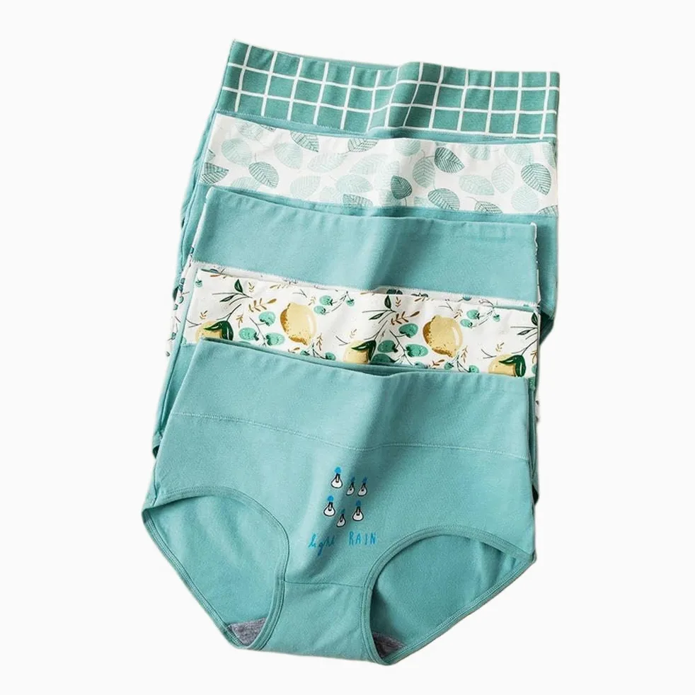 DYRBF - Bragas de algodón de cintura alta para mujer, ropa interior adelgazante, sin costuras, ropa interior sexy y transpirable para mujer, 4 piezas