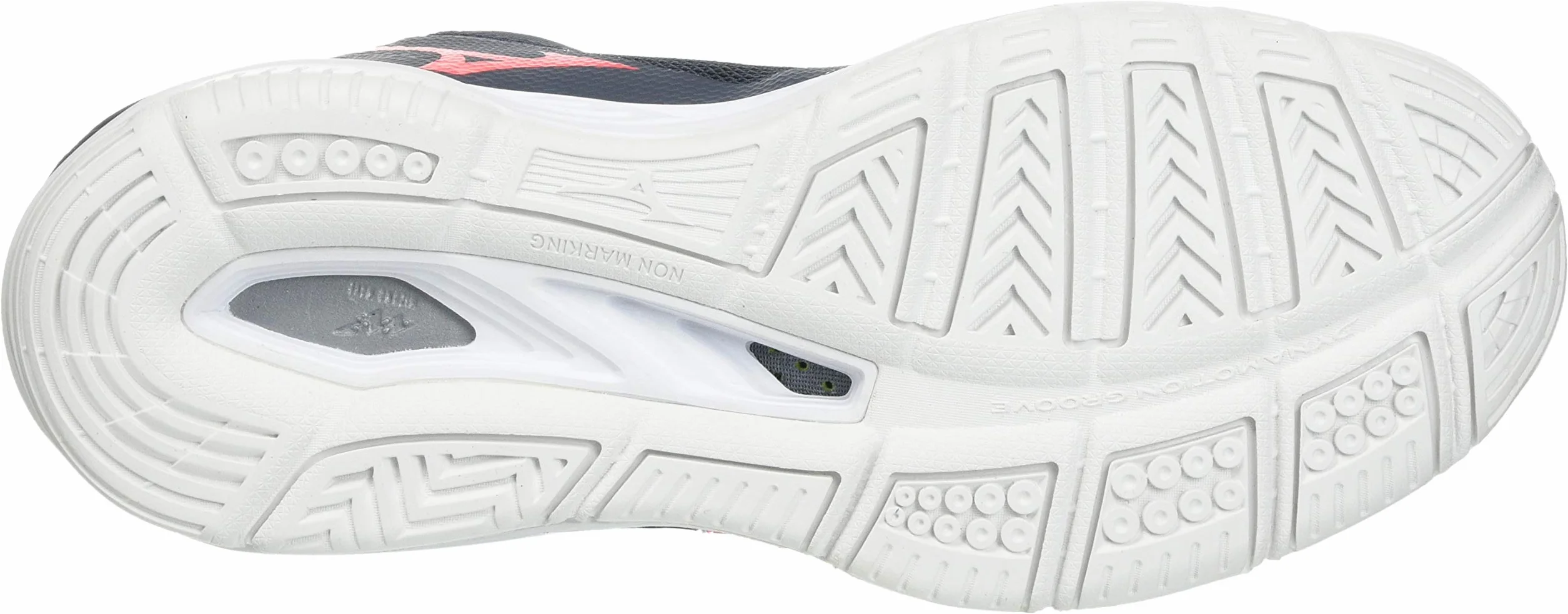 Mizuno Wave Inspire 19 Zapatos para aguaMujer