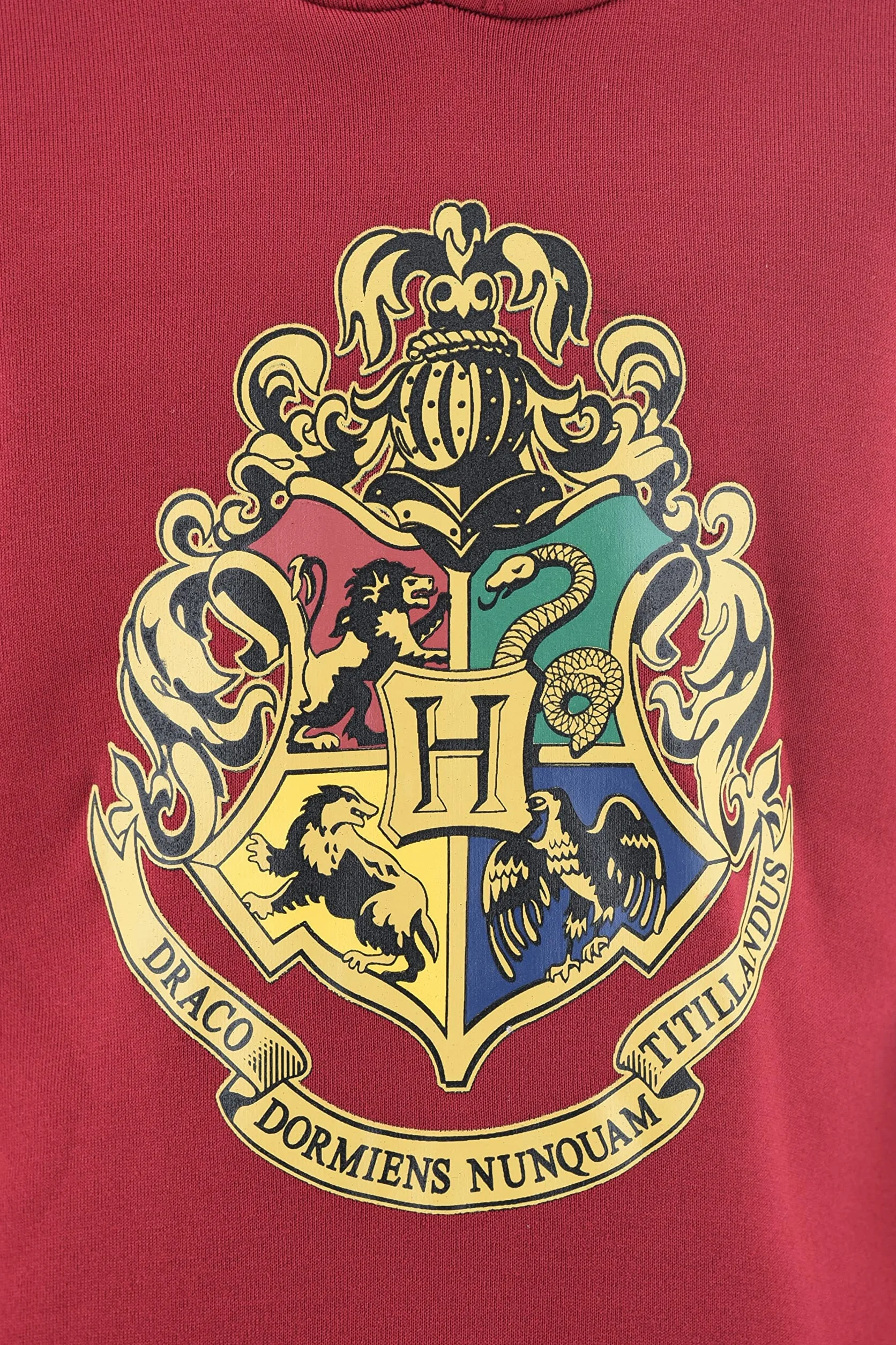 Harry Potter Niños Sudadera