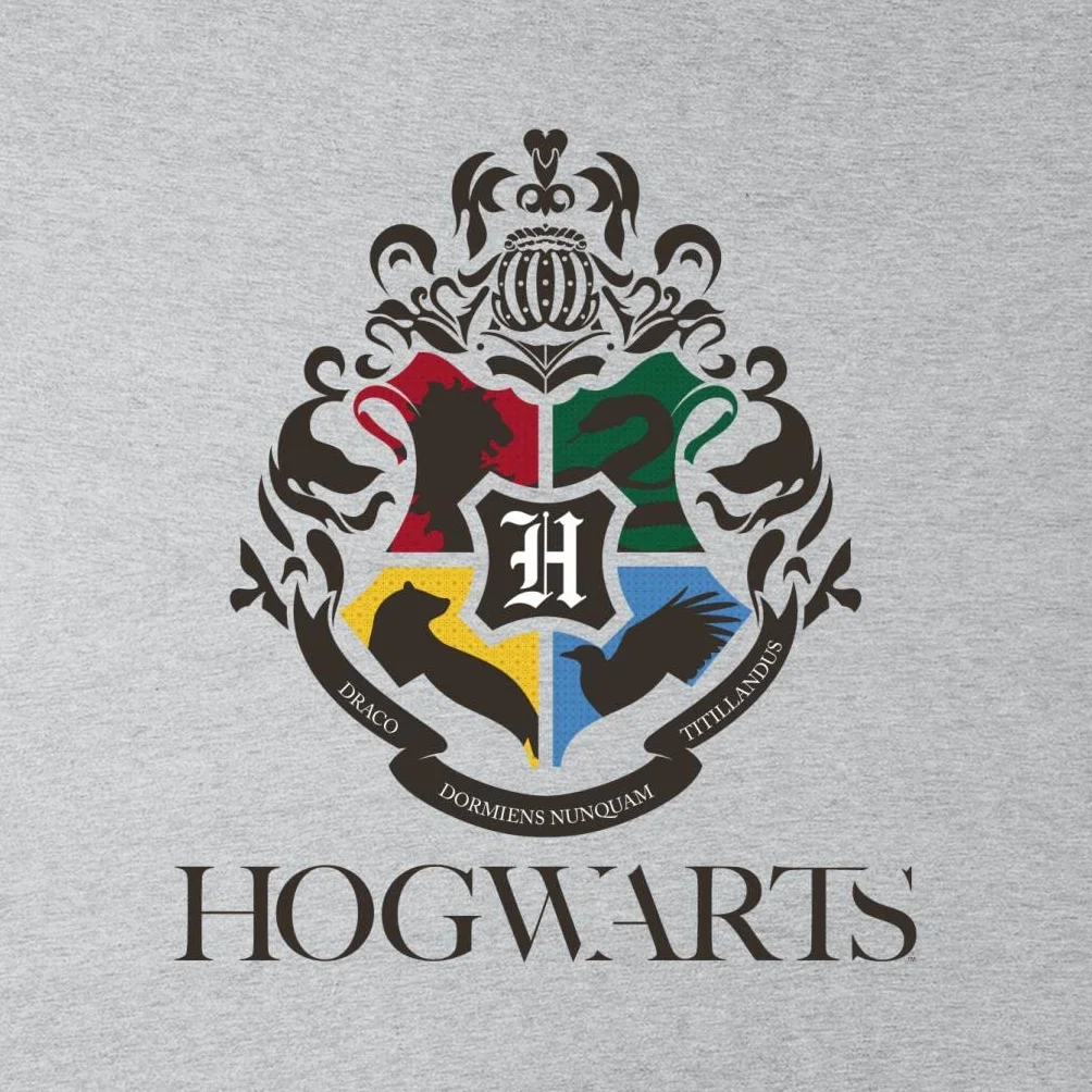 Harry Potter Hogwarts Crest Kid's Hooded Sweatshirt
