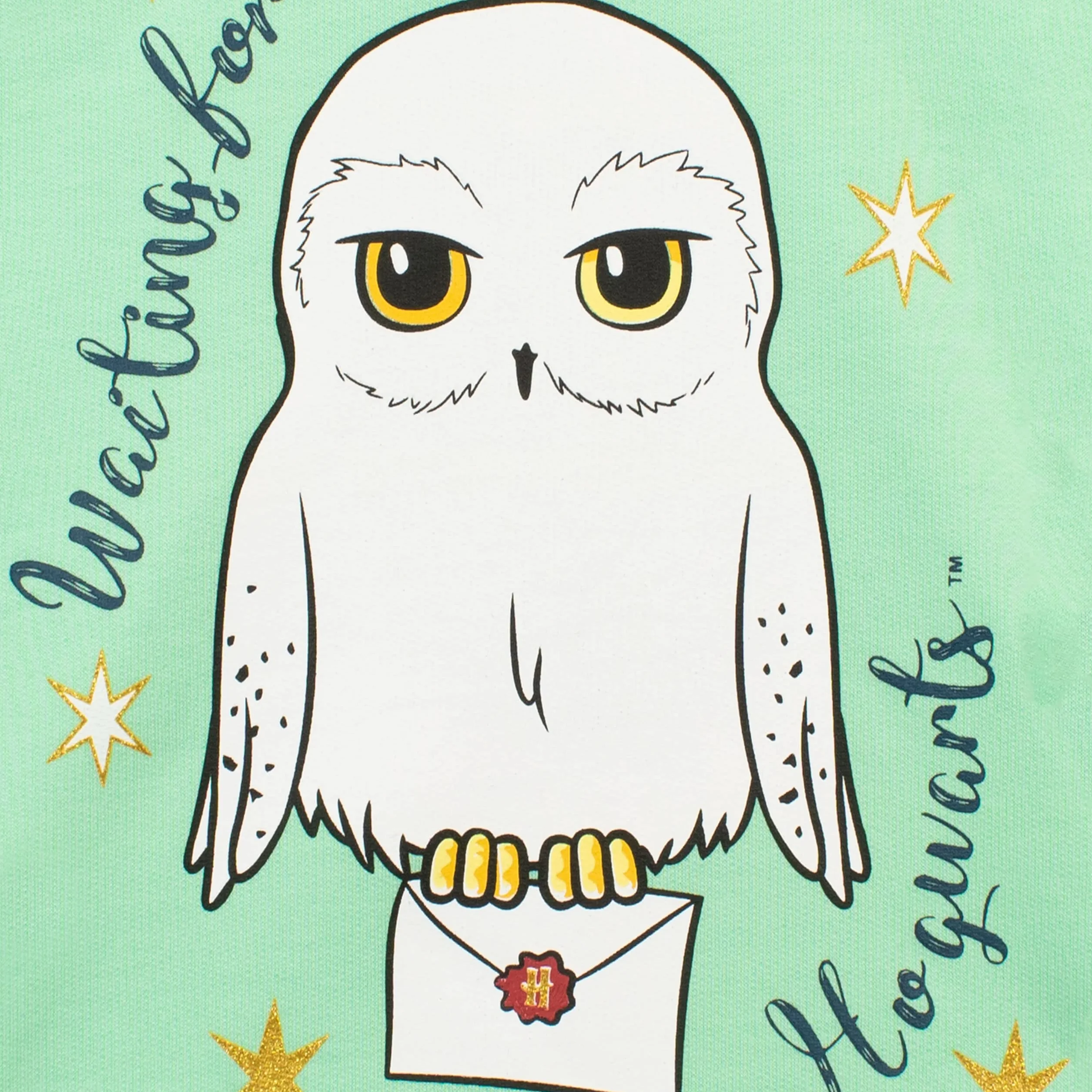 Harry Potter Sudadera Niña | Sudaderas Hedwig | Hoodie para Ninos