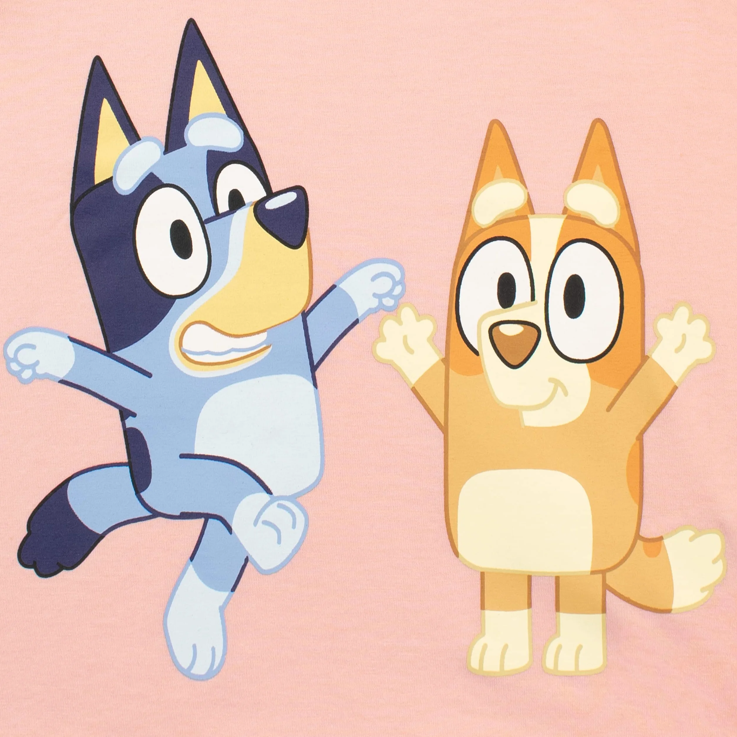 Bluey Camiseta Camiseta de Bingo para Niñas | Camisetas Manga Corta Niña | Camisetas Niñas | De 18 Meses a 6 Años