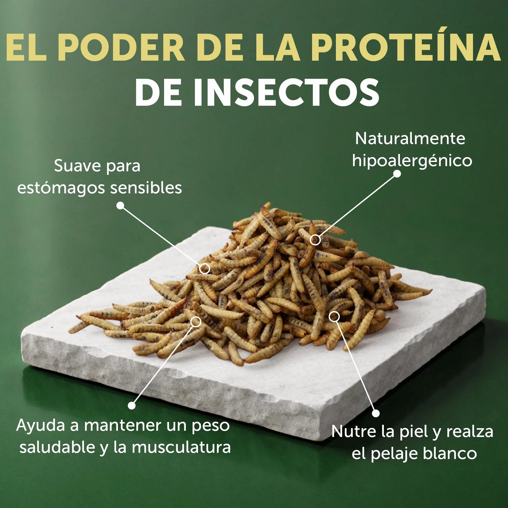 Natures PROT White Dog Adult Small Grain Free Insectos 1,5KG