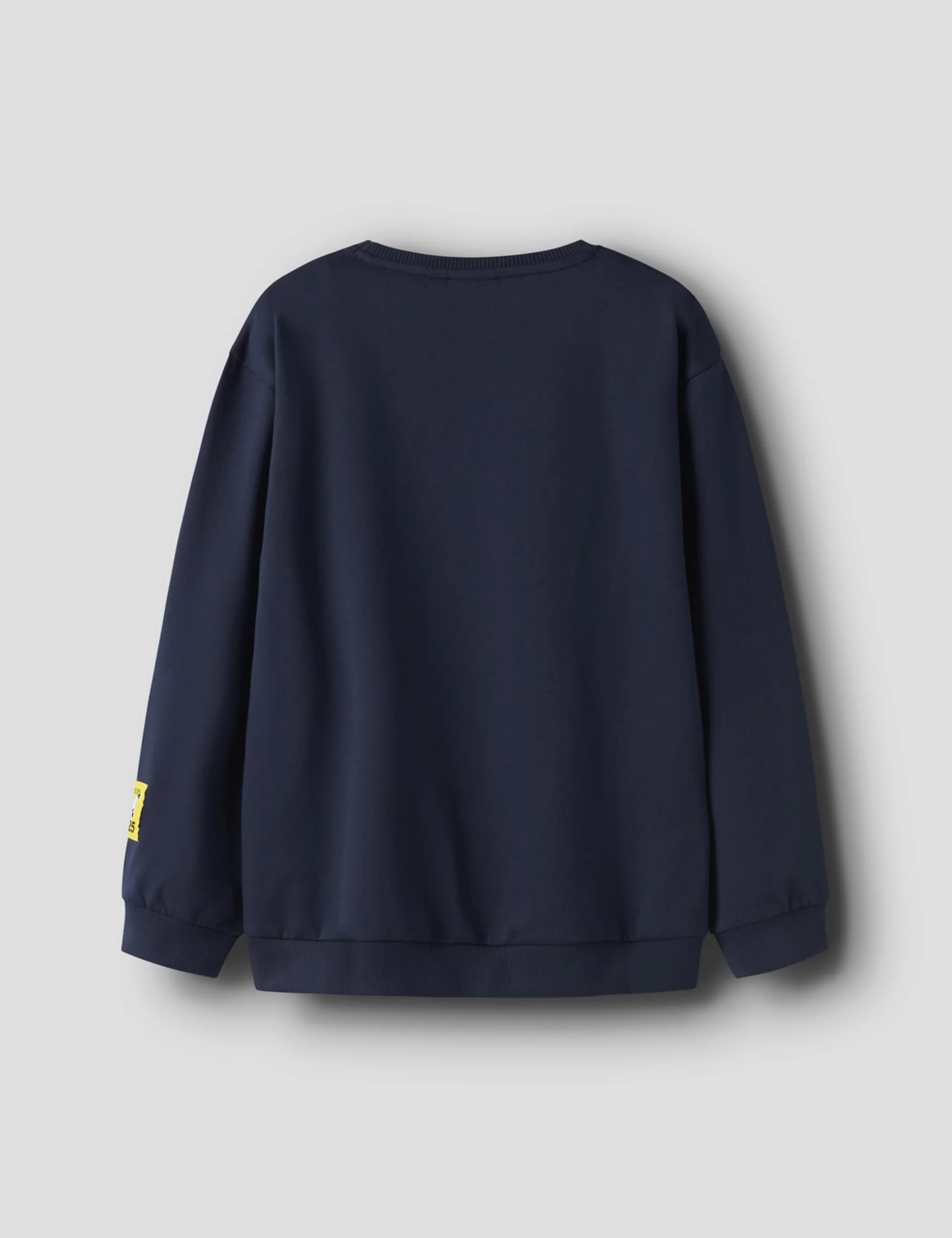 NAME IT Pokemon Nreg Sweat Niños