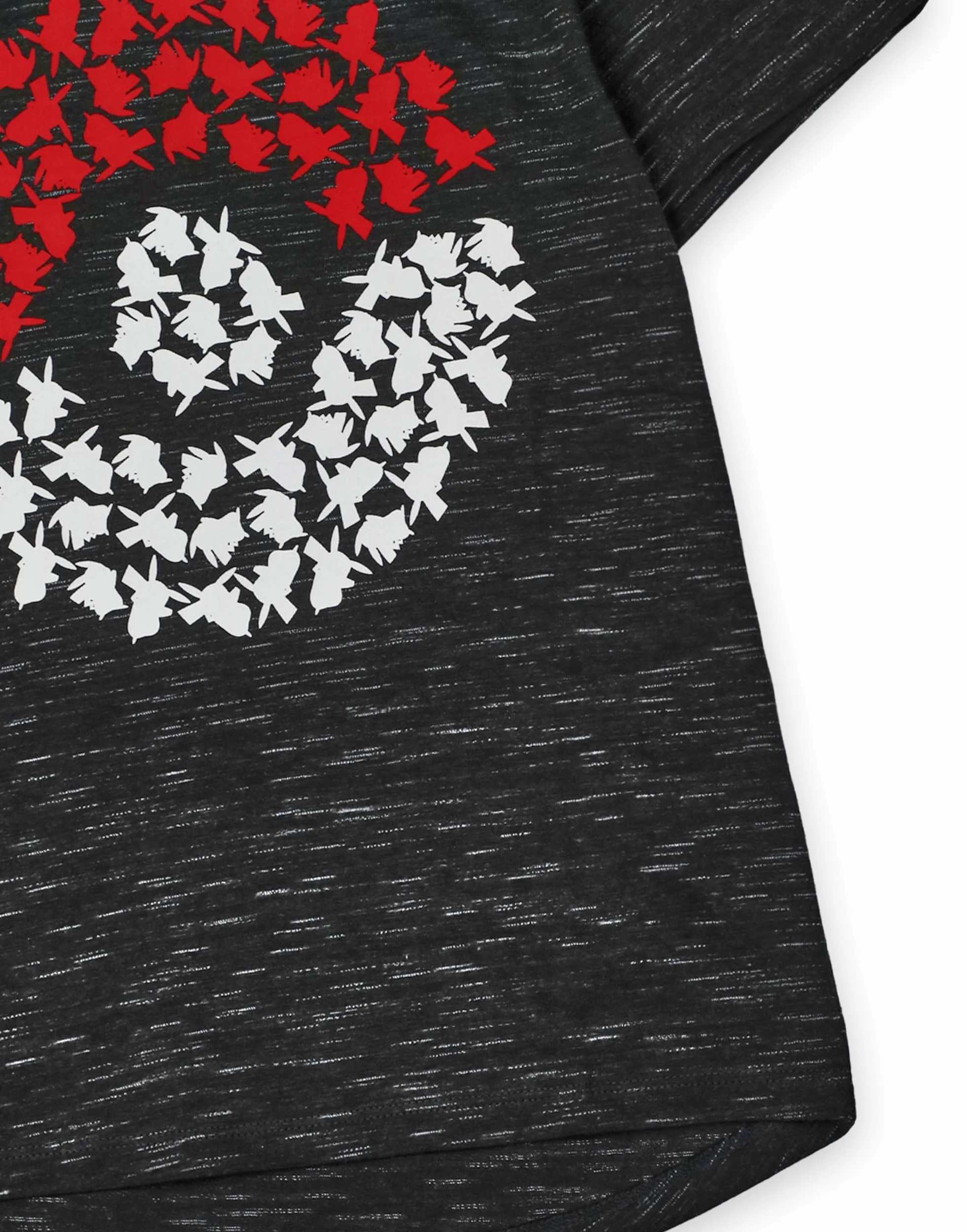 Pokémon Camiseta Pikachu Niño | Camiseta gráfica de Manga Corta Pokeball Character Gamer para niños en Gris carbón | Top Ropa Videojuegos clásicos para Adolescentes | Serie de TV TCG Película Anime